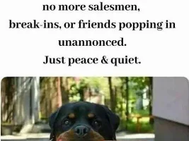 Good Clean Humor and Jokes
