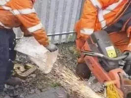 Good Clean Humor and Jokes