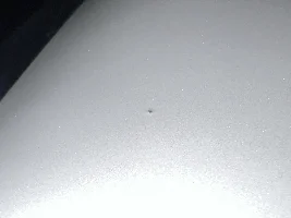 Trash in Factory Paint