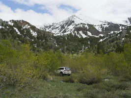 July 2026 - Lexus GX of the Month starts now!