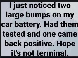 Good Clean Humor and Jokes