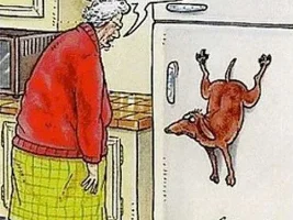 Good Clean Humor and Jokes