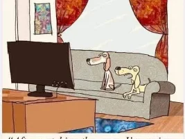Good Clean Humor and Jokes