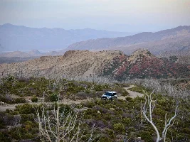 March 2025 - Lexus GX of the Month starts now!