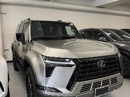 GX550 Atomic Silver Photos 💿