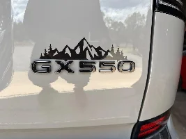 What did you do in your GX today?