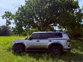 What did you do in your GX today?