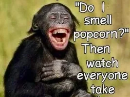 Good Clean Humor and Jokes