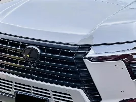 Incognito Lexus GX 550 Photos 🌫️