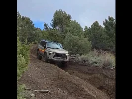 What did you do in your GX today?