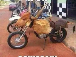 Good Clean Humor and Jokes