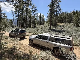 What did you do in your GX today?