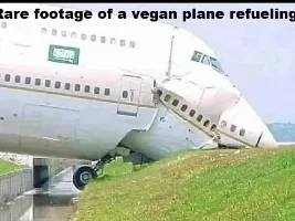 Good Clean Humor and Jokes