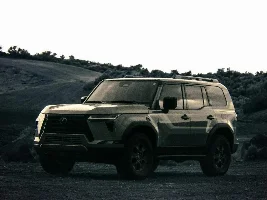 What did you do in your GX today?