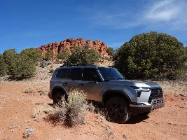 What did you do in your GX today?