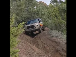 What did you do in your GX today?