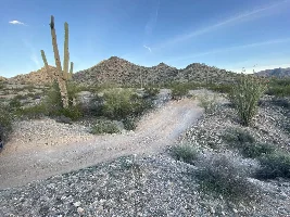 First Trail Run: Top of the World