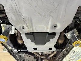 Inigo - Tig's Incognito OT Build