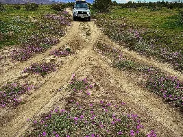 What did you do in your GX today?