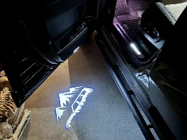 Door emblem projection lights