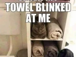 Good Clean Humor and Jokes