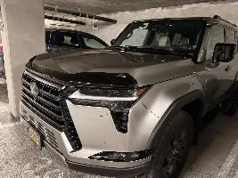 Hood wind / bug deflector?