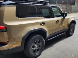 2026 OT Plus Color???