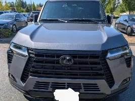 New to the squad!