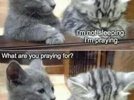 Good Clean Humor and Jokes