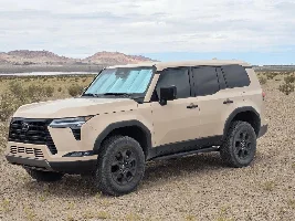 What did you do in your GX today?