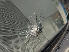 Anyone have their windshield replaced?  Issues with install.