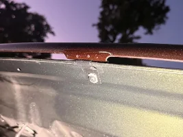 Gauging interest - Lexus Hood Bug Deflector from Australia