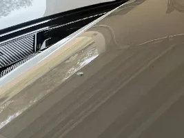 Trash in Factory Paint