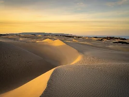 NEW - Oceano Dunes Reopens