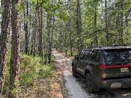 What did you do in your GX today?