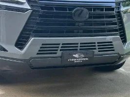 License plate plug