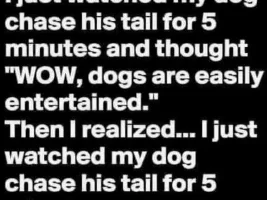Good Clean Humor and Jokes