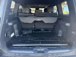 WeatherTech or Lexus waterproof cargo mat?