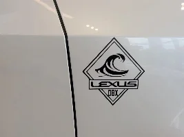 Adding GX550 Overtrail fender flares