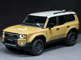 Wraps for the Black Roof on GX550