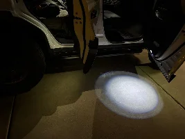 Door emblem projection lights