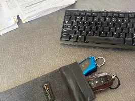 GX550 Theft