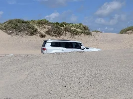 What did you do in your GX today?