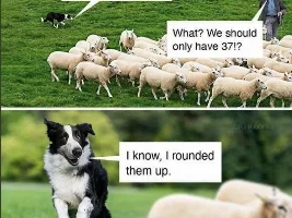 Good Clean Humor and Jokes