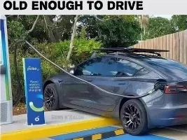 Good Clean Humor and Jokes