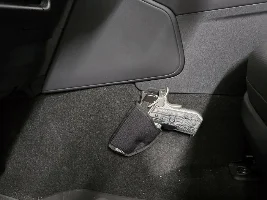 Firearms storage