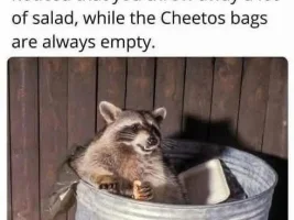 Good Clean Humor and Jokes