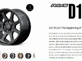 Rays D108
