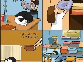 Good Clean Humor and Jokes