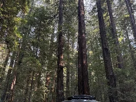 September 2025 - Lexus GX of the Month starts now!